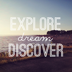Open blog post titled 'My Experience with Vector - Explore.Dream.Discover'