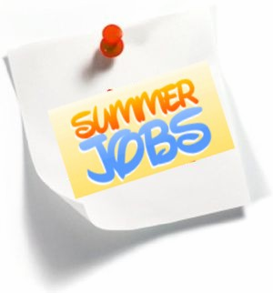 Open blog post titled 'A Summer Job that Accidentally Turned into a Career!'