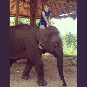 Jordan on elephant